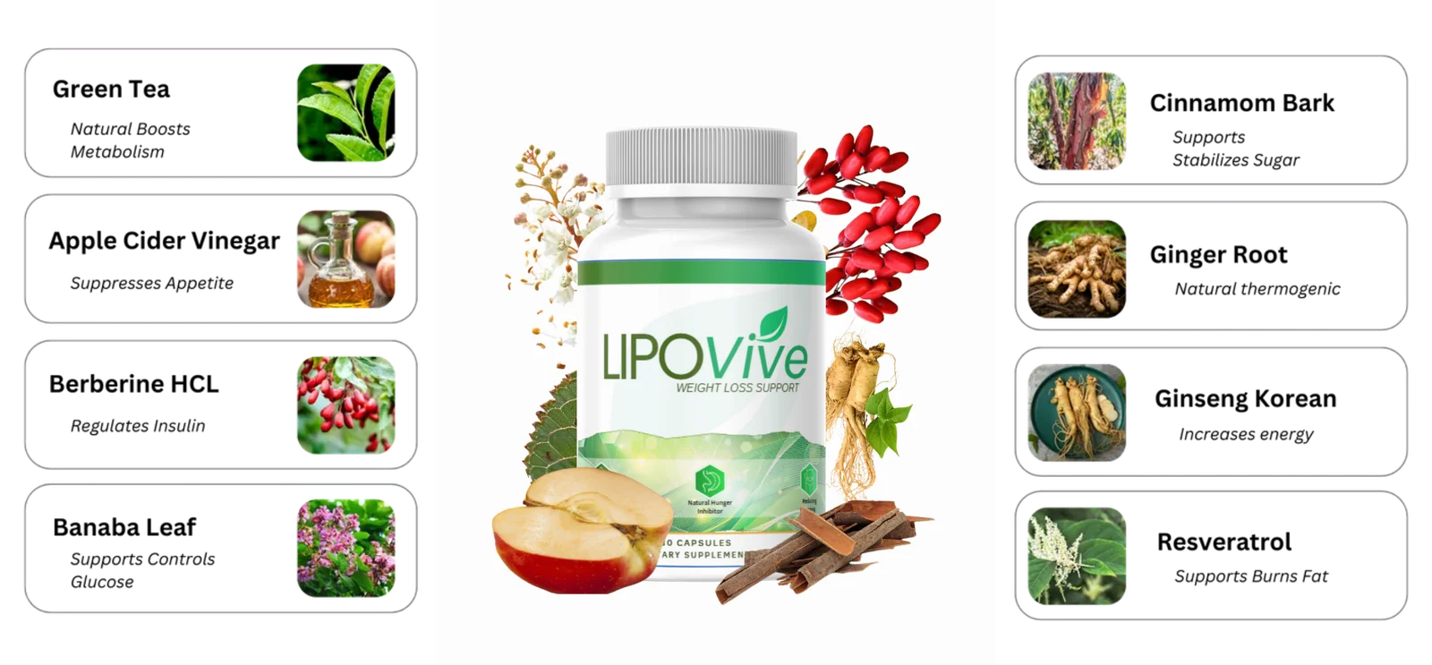 LipoVive Supplement Bottle